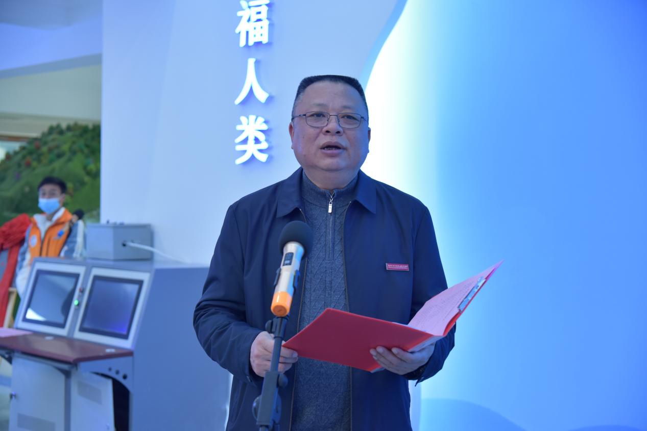 BCD_6165