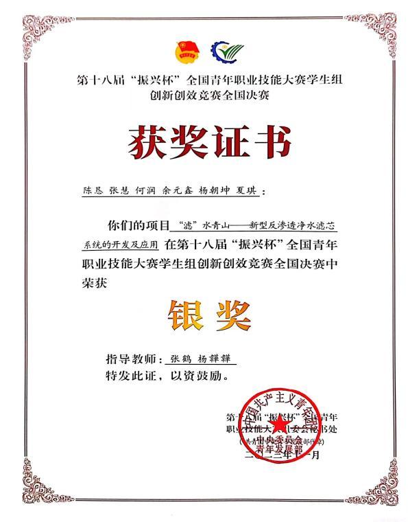 振兴杯国家级银奖
