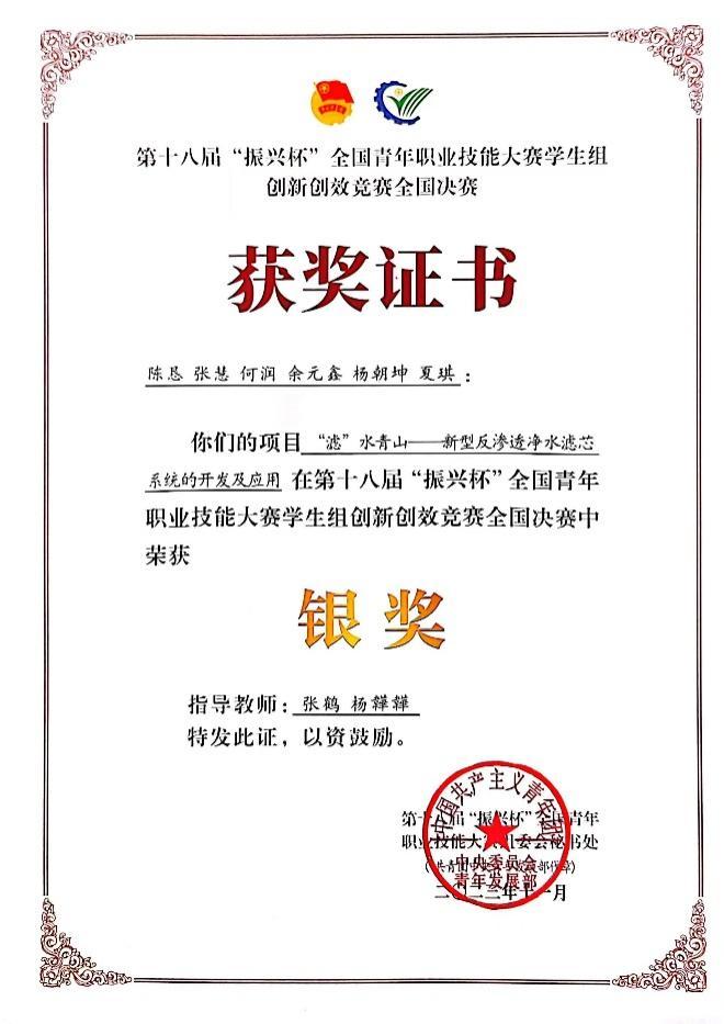 振兴杯国家级银奖