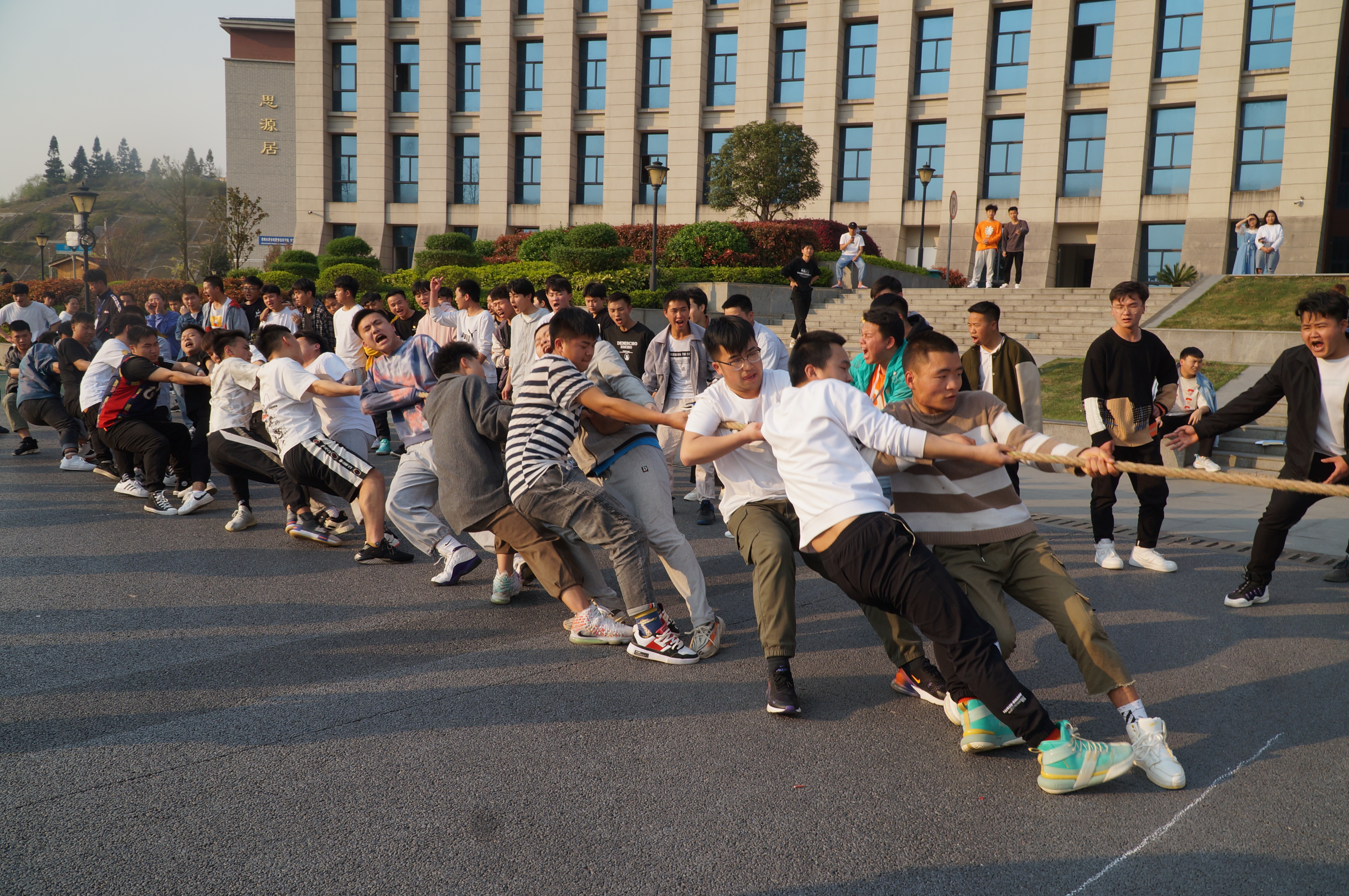 d6802f55-4493-4254-b21e-c47cdacd5caf.jpg