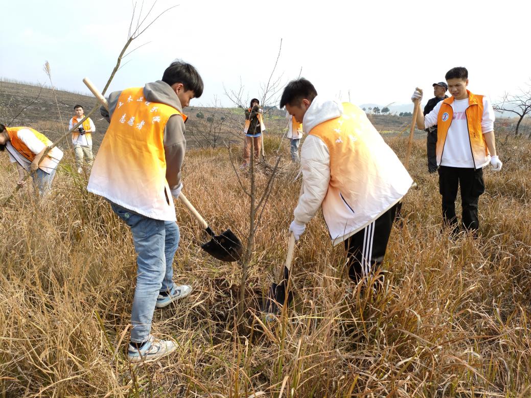 学生植树中