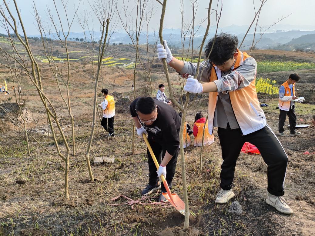 师生植树