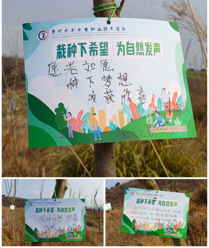 心愿卡片