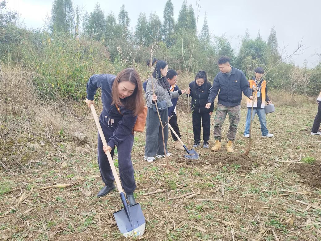 刘安妮植树中